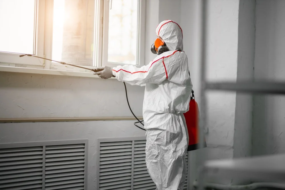 Professional mold remediation services in Wilmerding, PA